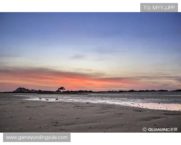 云顶4008网址常见问题解答,解决玩家在登录与游戏过程中的常见疑问 云顶4008网址常见问题解答,解决玩家在登录与游戏过程中的常见疑问