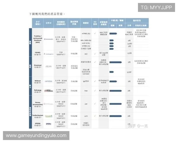 云顶新耀软件下载最新版本，安全无病毒操作教程全解析