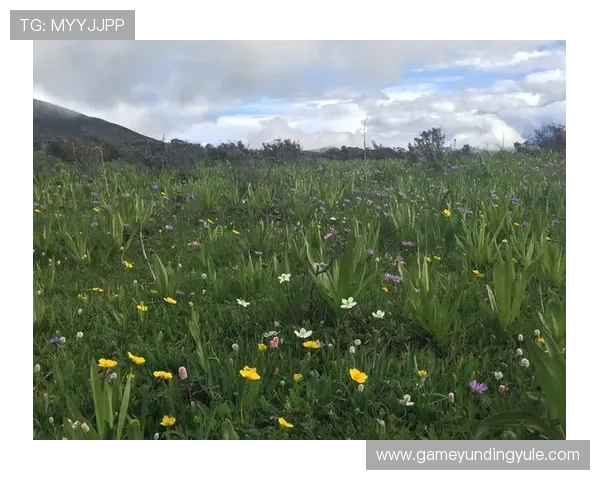 吉隆坡云顶索道全景体验：带你领略云顶高原的壮丽景色